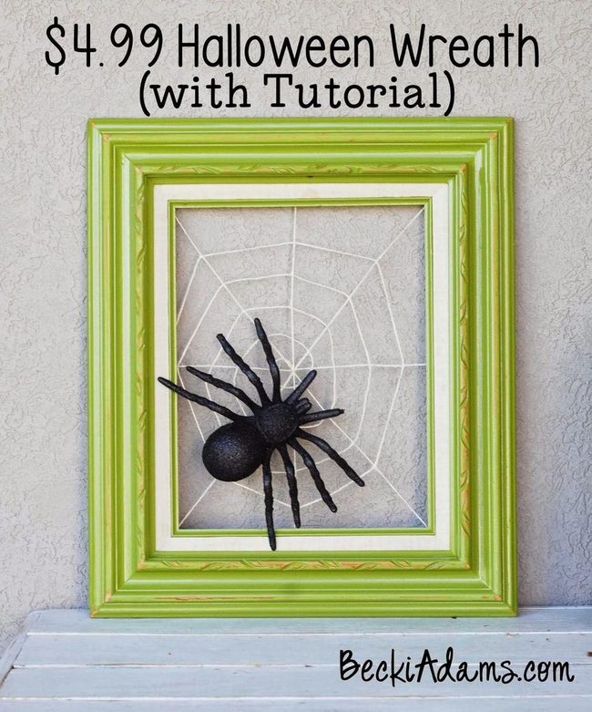 Black Spider Web Frames