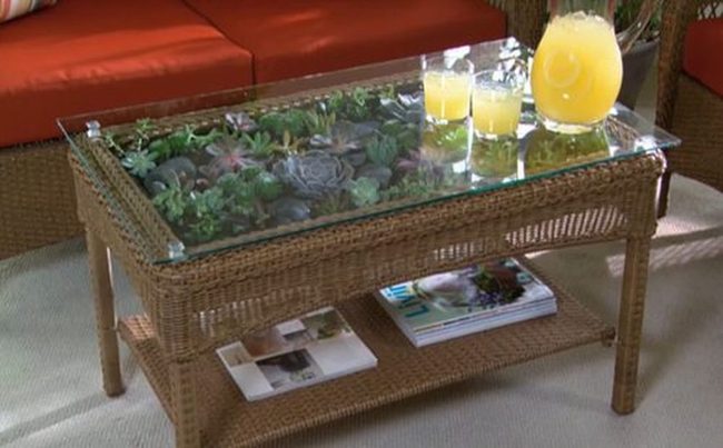 Glass-Enclosed Succulent Tables