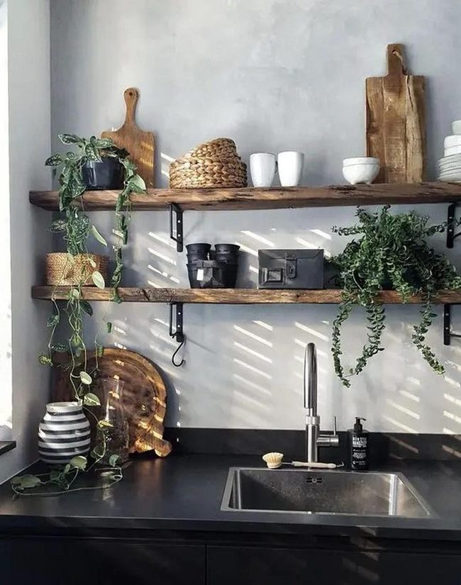 Sunlit Wood Shelves Green Plants