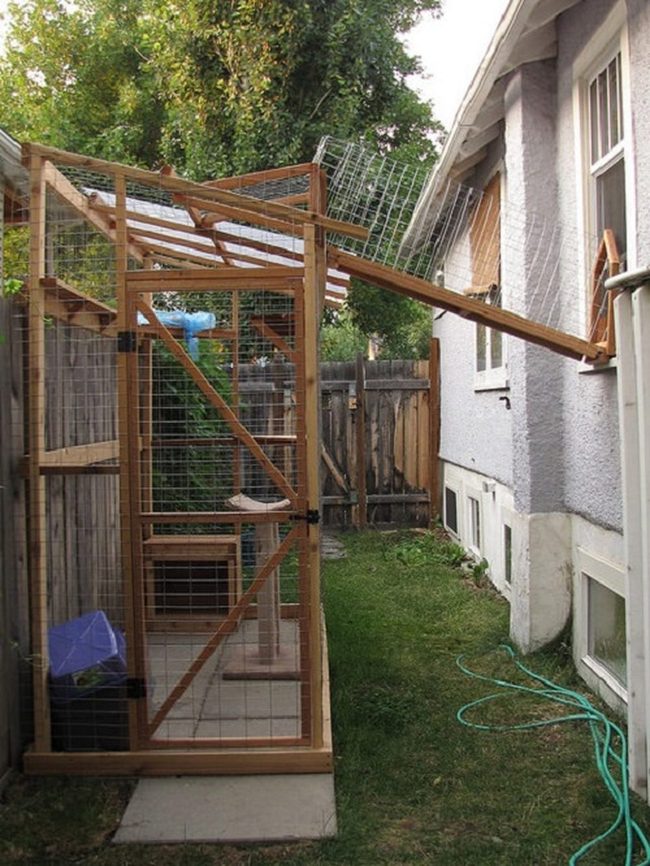 Side Yard Mesh Cat Enclosure