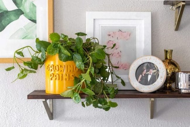 Geometric Ceramic Planter Art