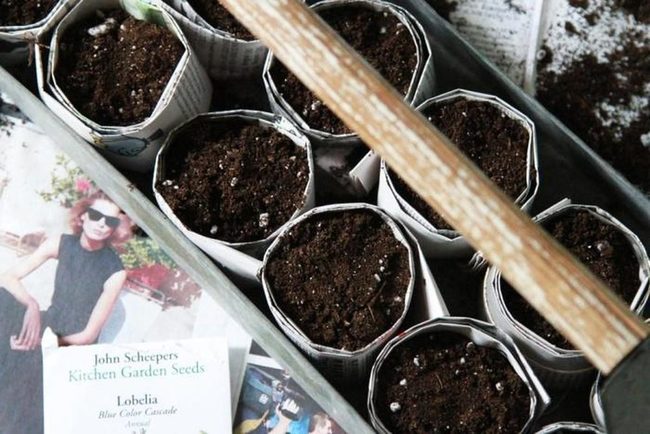 Newspaper Pots, Colorful Seeds