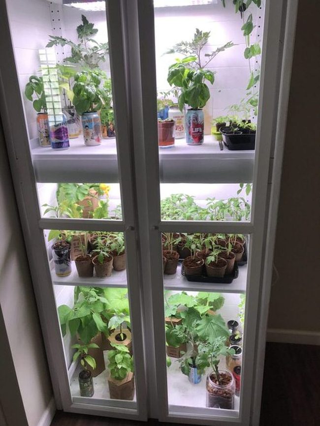 Wood Cabinet Herb Garden