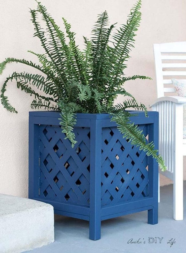 Colorful Lattice Planter Entrance