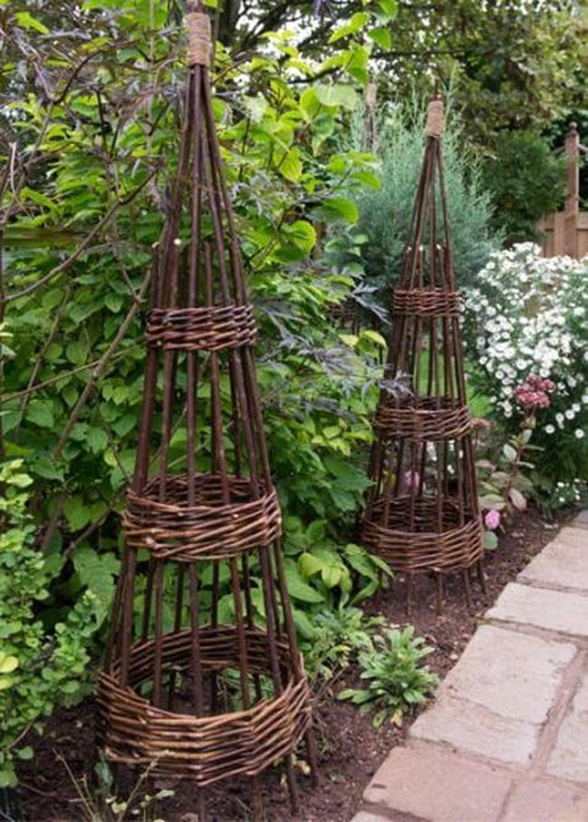 Twig Trellises With Climbing Vines