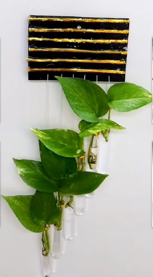 Glass Tube Botanical Wall Art