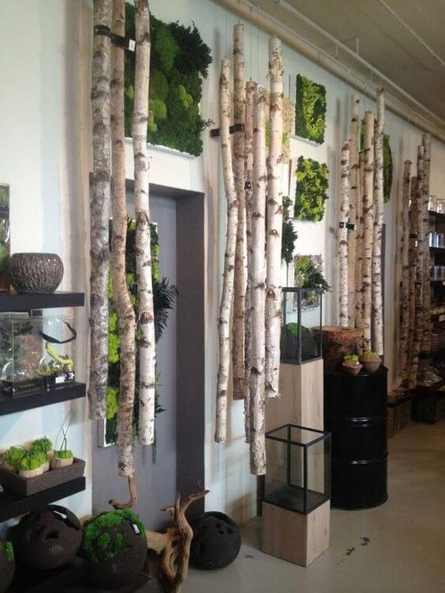 Birch Branches Meet Living Green