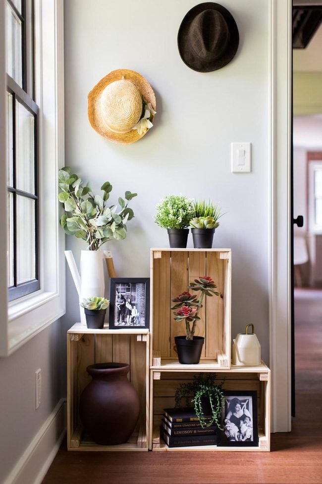 Wooden Crates, Green Plants, Memories