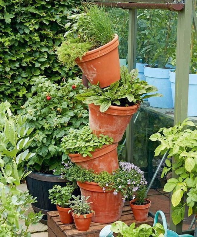 Vertical Terracotta Herb Tower