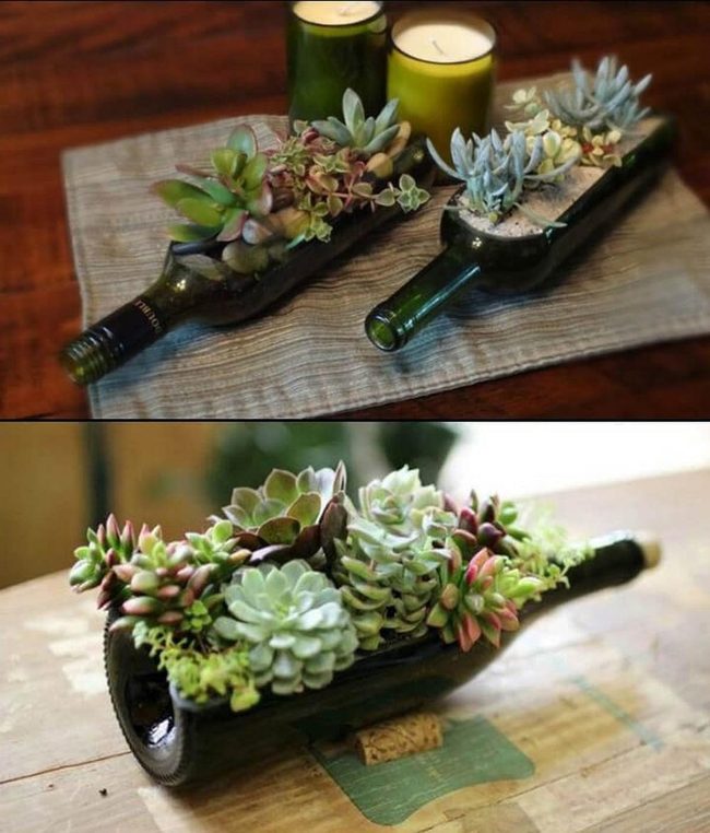 Glass Bottle Succulent Planters
