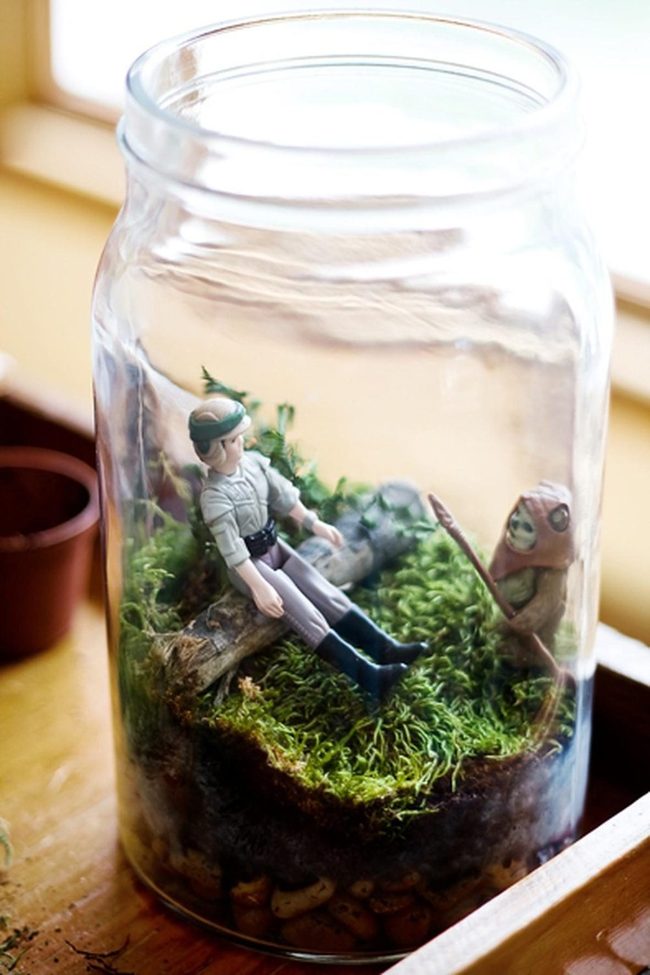 Glass Jar Green Ecosystem
