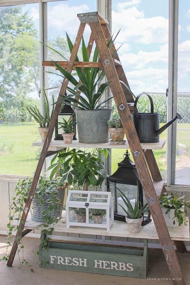 Wooden Ladder Plant Stand