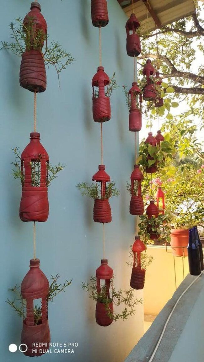 Pierced Planters Cast Living Shadows