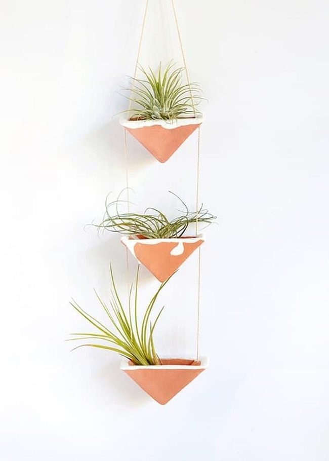 Ceramic Tillandsia Wall Gardens