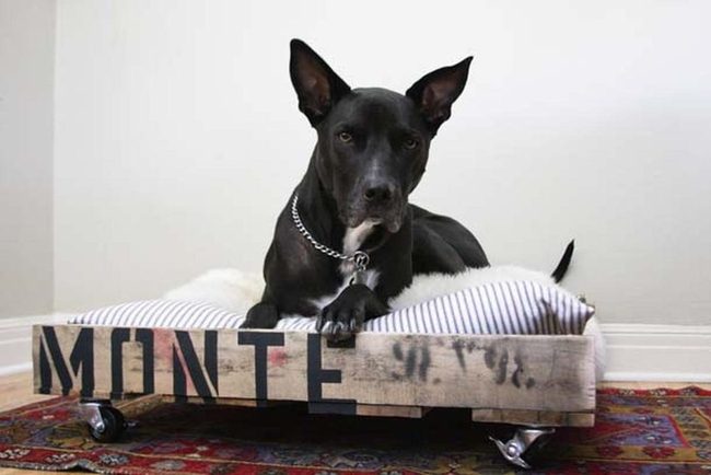 Rolling Wooden Dog Bed Silver