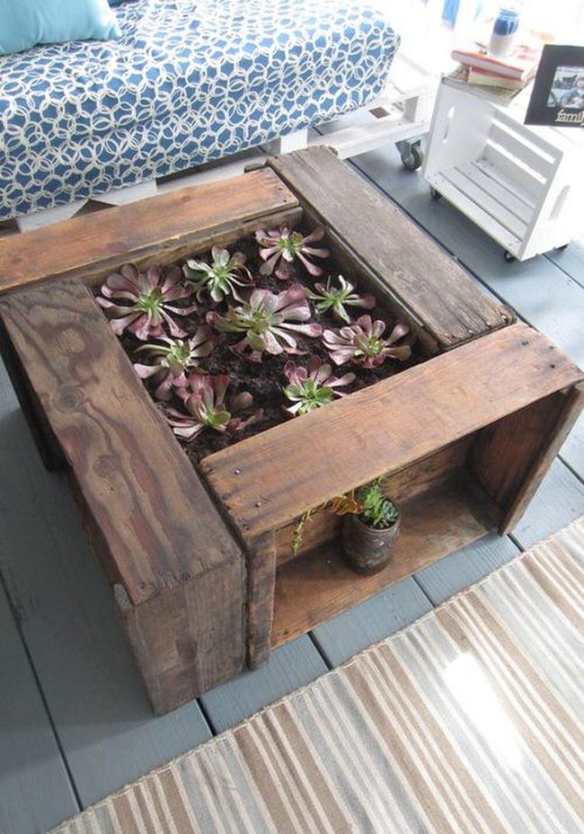 Raw Stone Succulent Terrarium