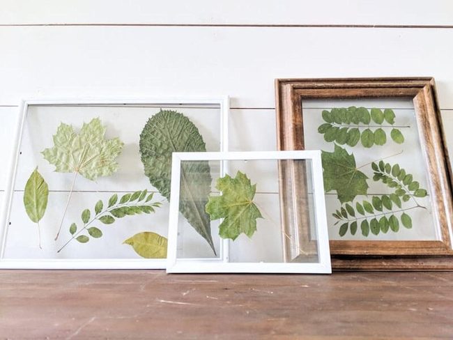 Green Leaf Frame Glass