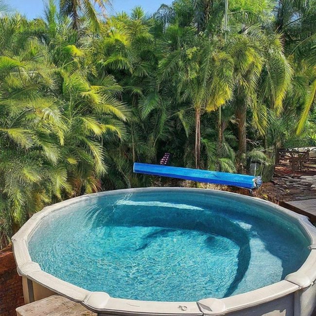 Tropical Yard Pool Paradise