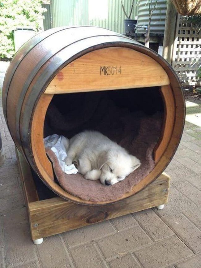 Wooden Barrel Pet Retreat