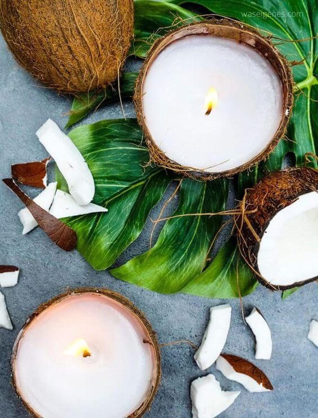 Brown Shell Candles, Eco-Crafted