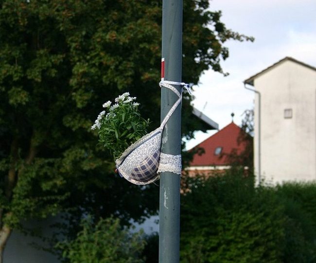 Colorful Bra Planters Blooming