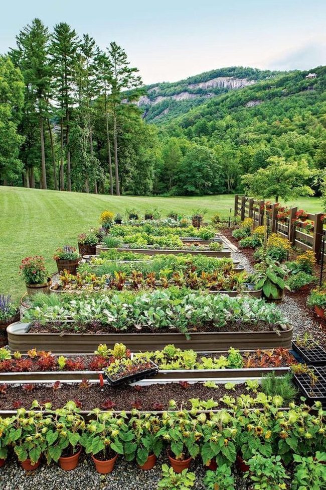 Metal Raised Beds Urban Growing