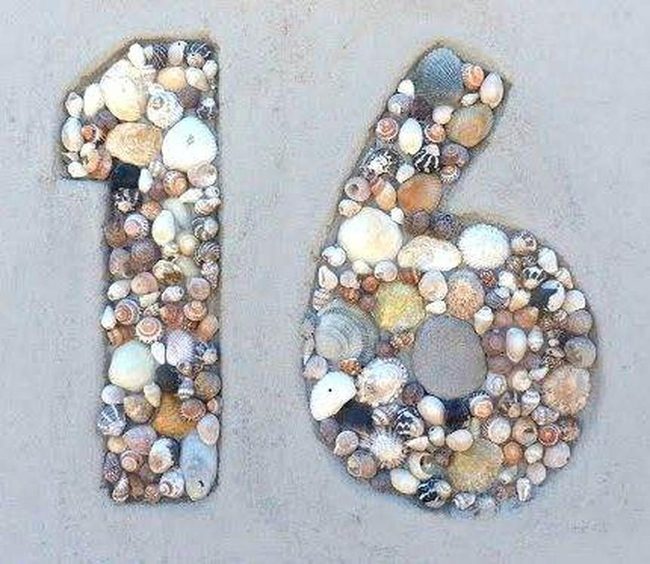 Seashell House Numbers On Driftwood