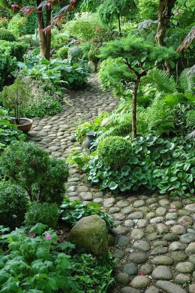 Stone Path Through Layered Garden