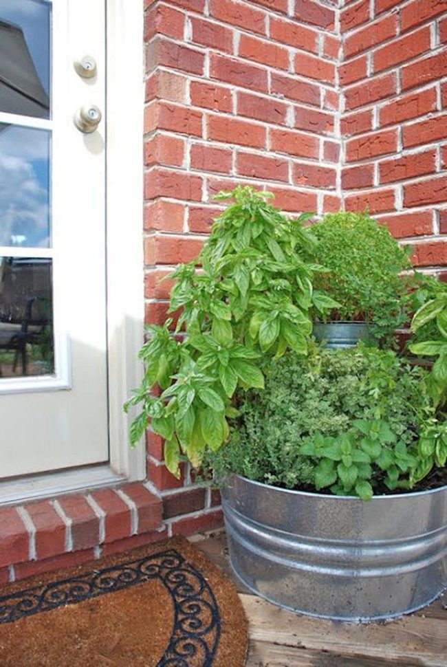 Green Herbs, Metal Container, Brick Wall