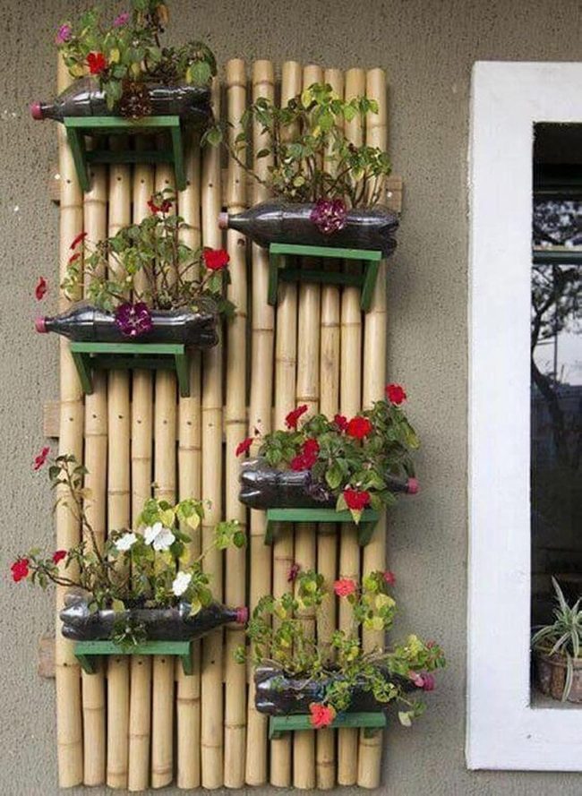 Colorful Blooms On Natural Wood