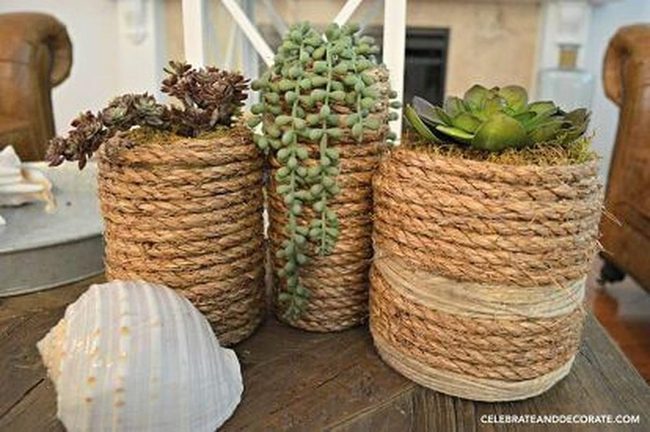 Rope-Wrapped Succulents In Layers