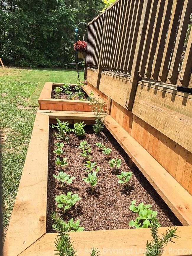 Wooden Raised Beds Sunlight