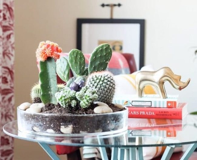 Ceramic Cactus Clusters