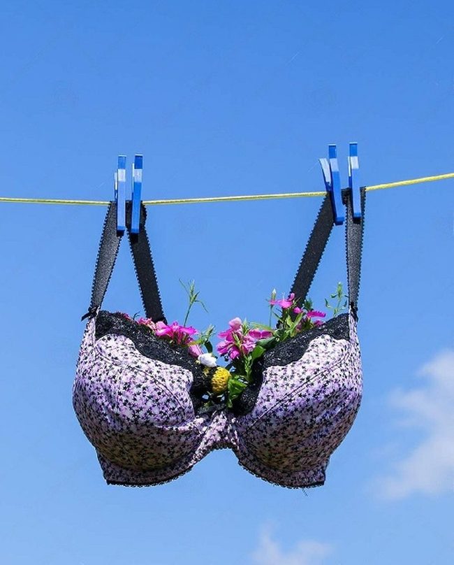Pink Flowers In Black Bras