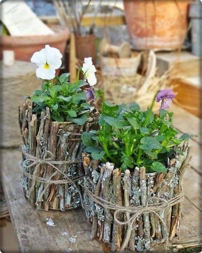 Natural Twig Plant Vessels