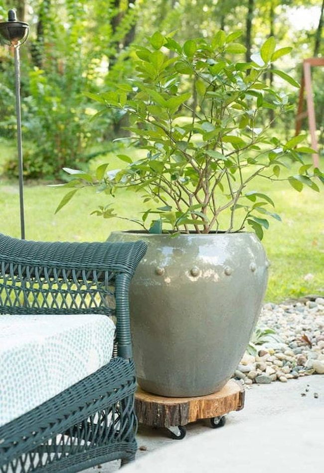 Natural Wood Mobile Planters