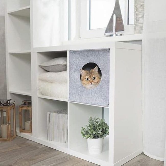 Black Cat Nook Inside Kallax