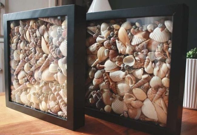 Collected Shells Travel Memory
