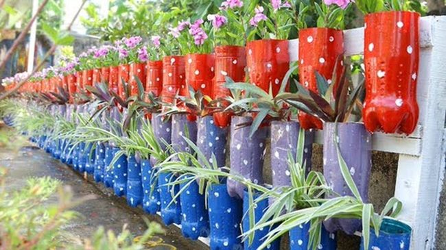 Vertical Herb Garden Bottles