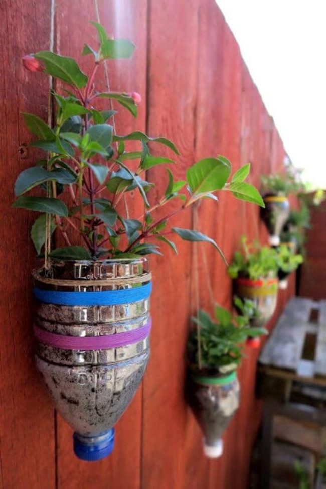 Neon Bottles Living Wall