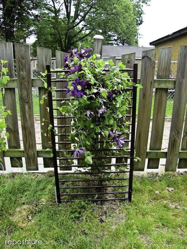 Reclaimed Wood Climbing Garden