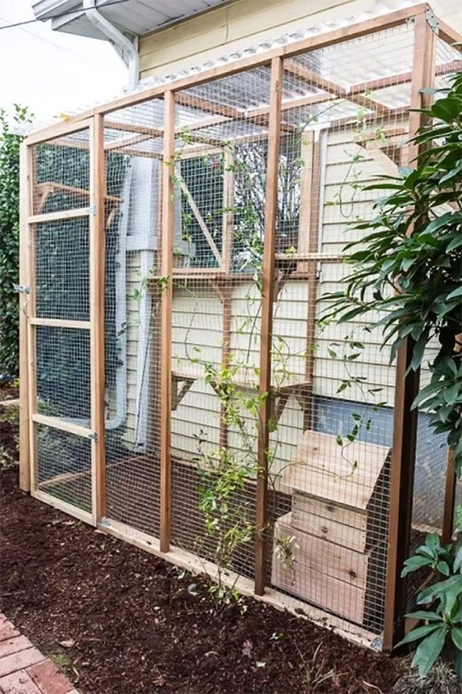 Cats' Multi-Level Garden Playground