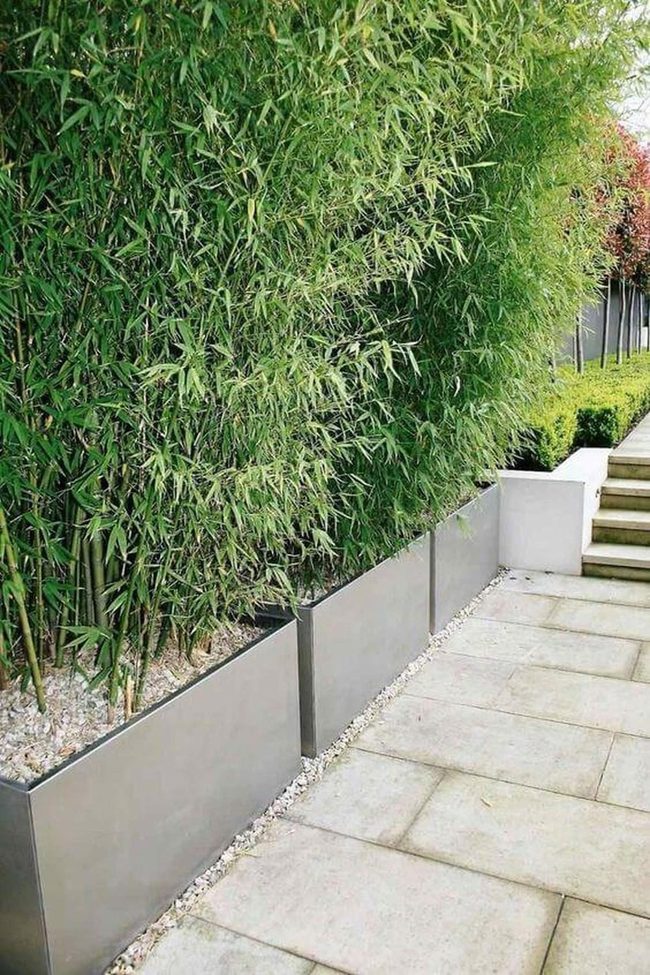 Stainless Steel Bamboo Privacy Screen