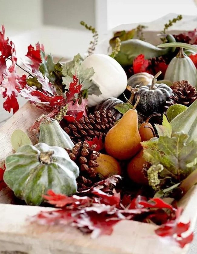 Autumn Pumpkins, Orange And Gold