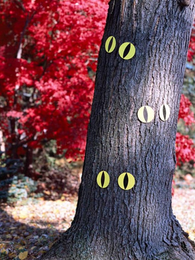 Oversized Eyes Haunt Yards
