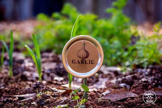 Mason Jar Lid Garden Labels
