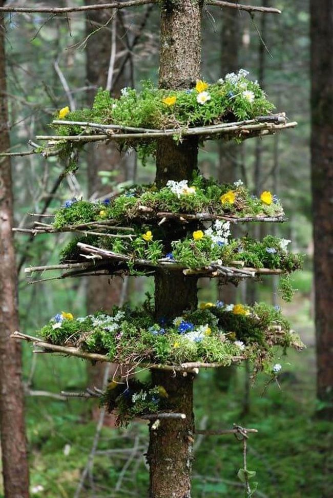 Colorful Flowers On Branch Shelves