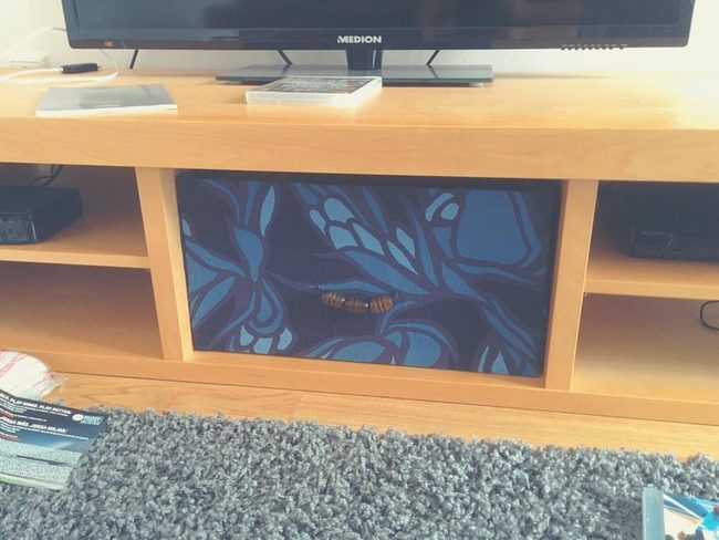 Blue Butterfly Cabinet Statement