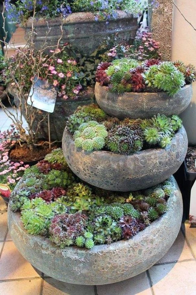 Tiered Succulents Green Statement