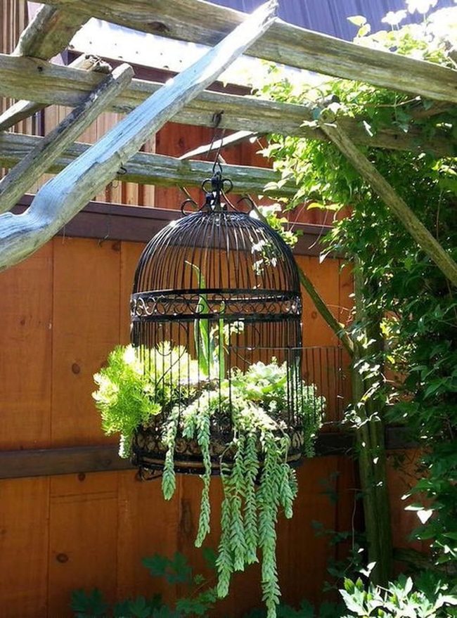 Vintage Metal Succulent Cages
